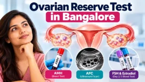 Ovarian reserve testing in Bangalore showing AMH, AFC, FSH and estradiol tests